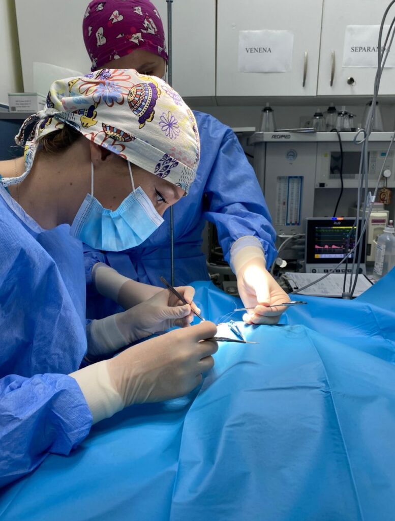 Caine la chirurgie pietre urinare